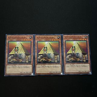 3586 Pyramid Turtle#3128