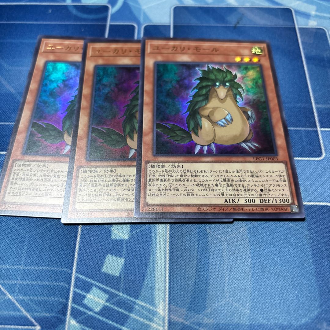 Eucalyptus Mall Ultra 1枚