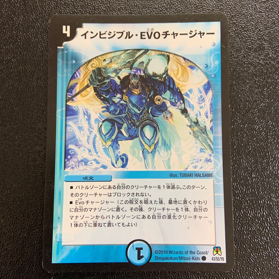 インビシブル・EVOチャージャー 1枚