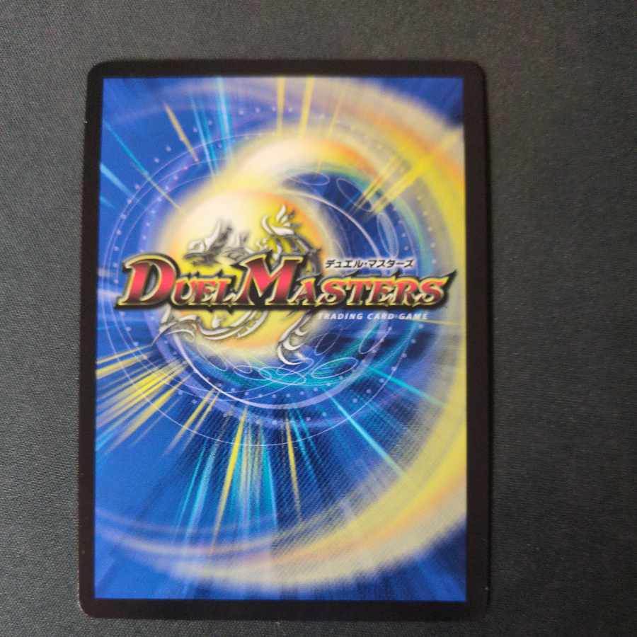 R.S.F.K.｜All-in Charger VR