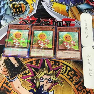 Naturia Sunflower SUB1 1 Normal Parallel Effect Set of 3 Tera