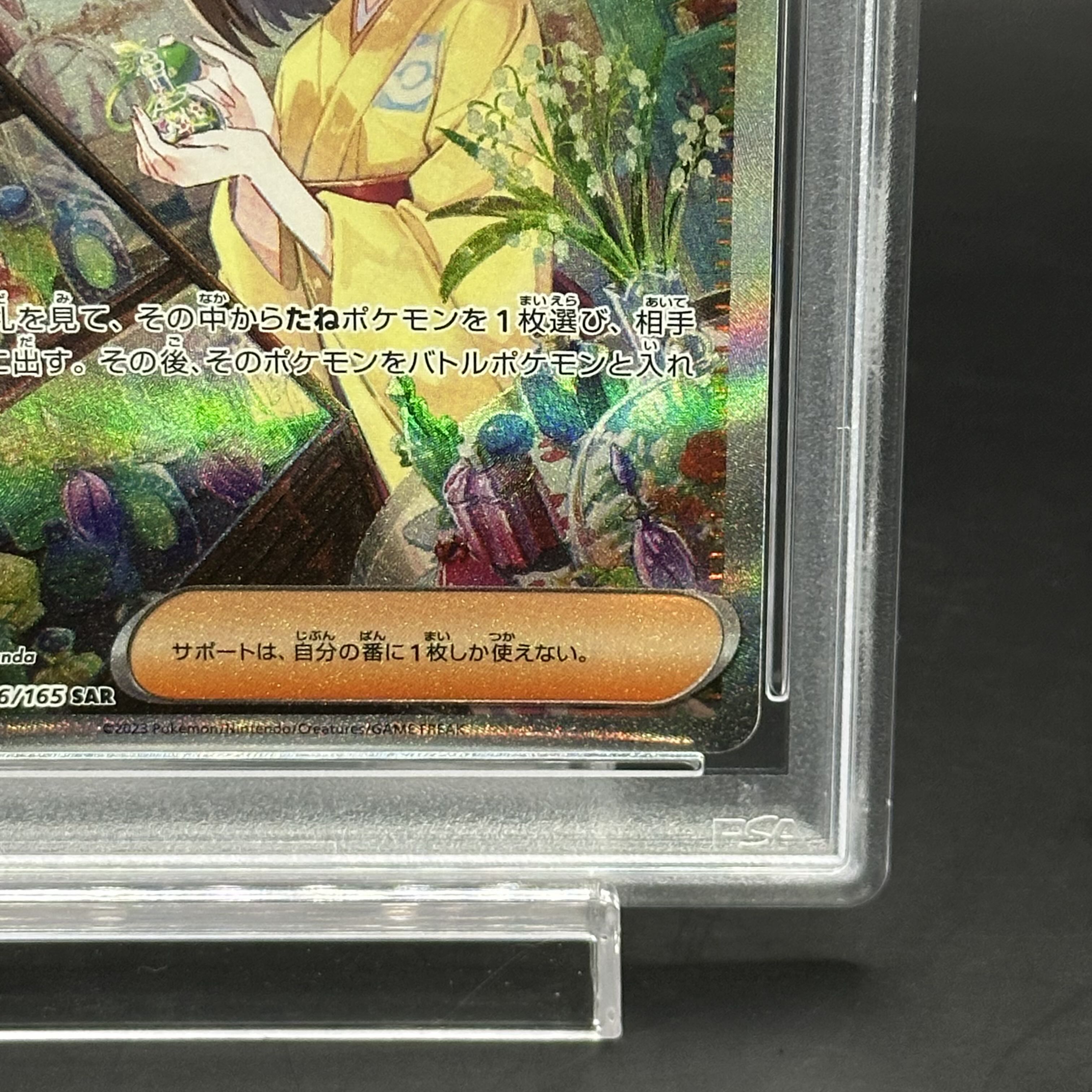 [PSA10] Erika's Invitation SAR 206/165