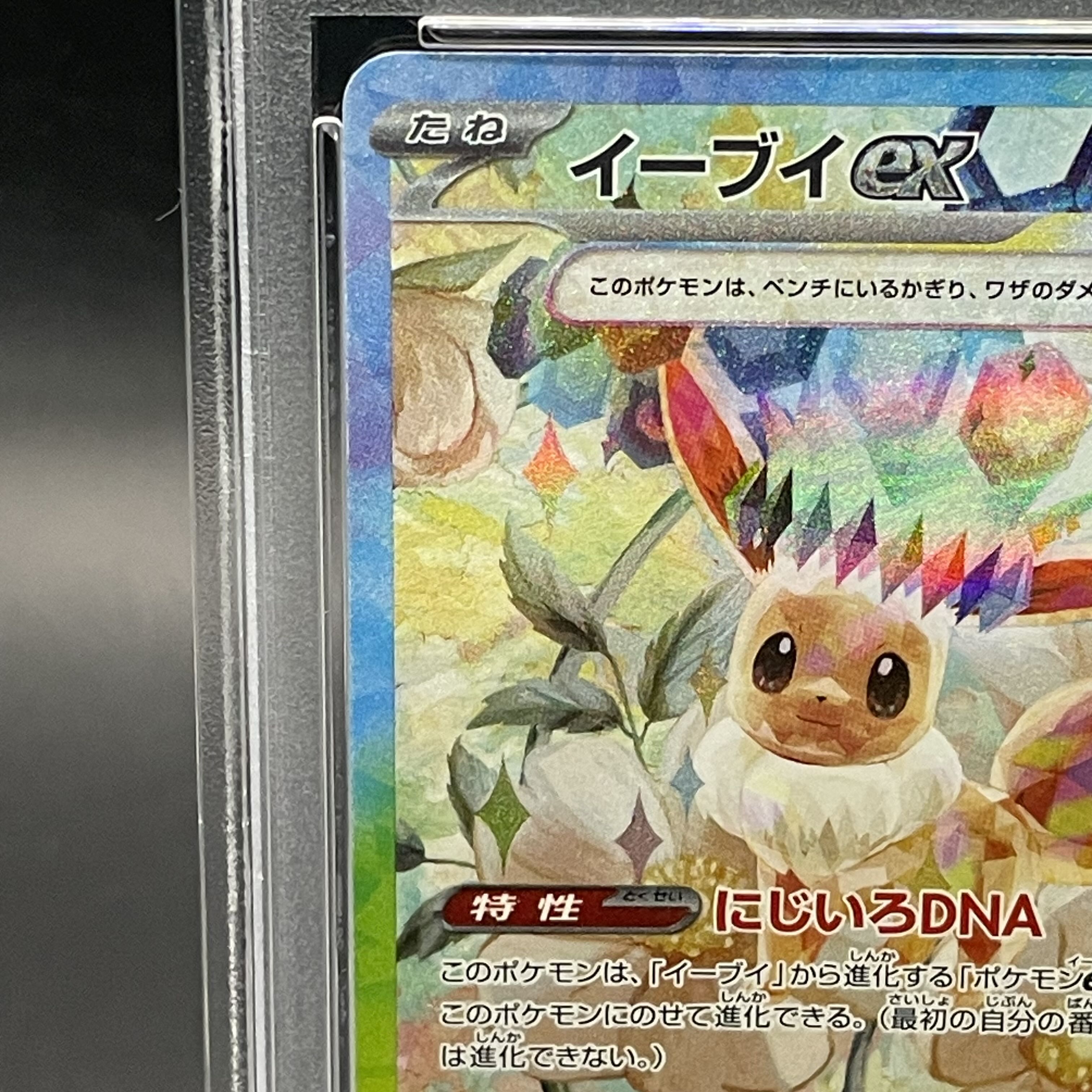 PSA10】イーブイex SAR 223/187の通販 土日祝休@magi公式 PSA10】イーブイex SAR 223/187の通販 土日祝休@magi公式