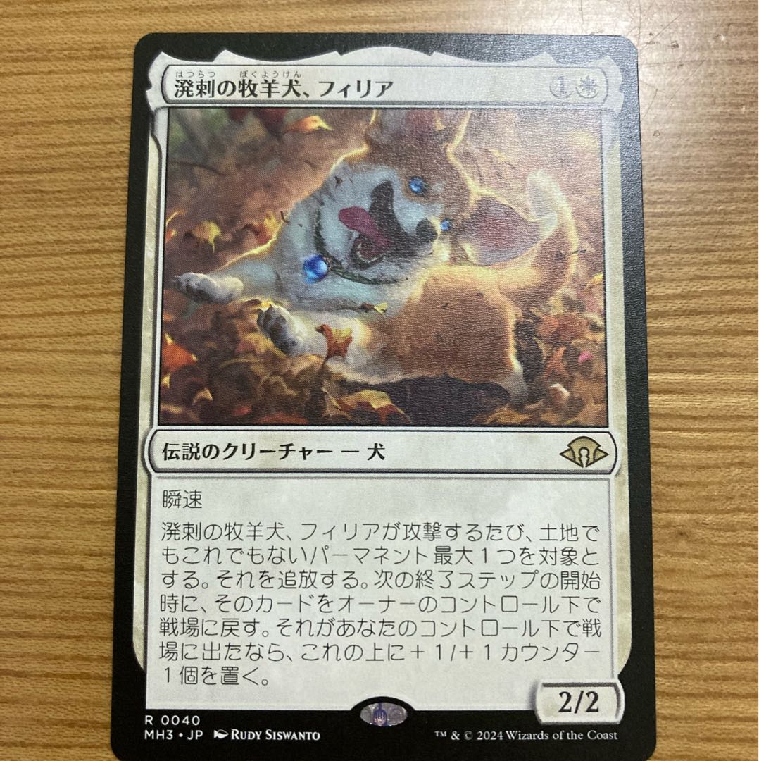 Sprightly farm Sheep dog, Filia. 1枚