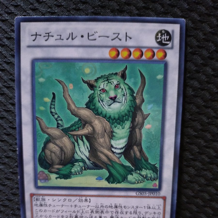 [Popotan] Yu-Gi-Oh!  3257  Naturia Beast Normal JP010 1枚