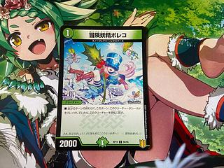 D-72 冒険妖精ポレコ C 94/95 1枚