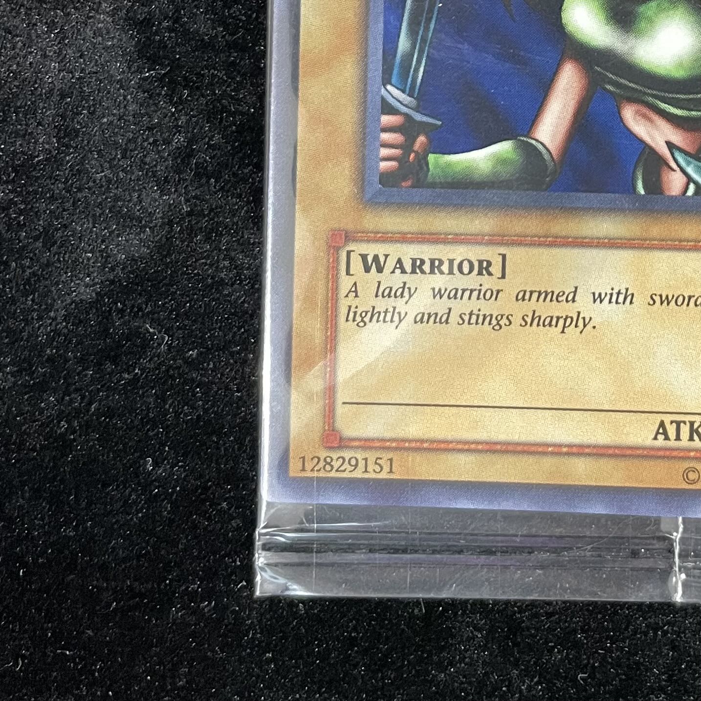 女剣士カナン/Kanan the Swordmistress （未開封）（スーパー）　WCS-001 1枚