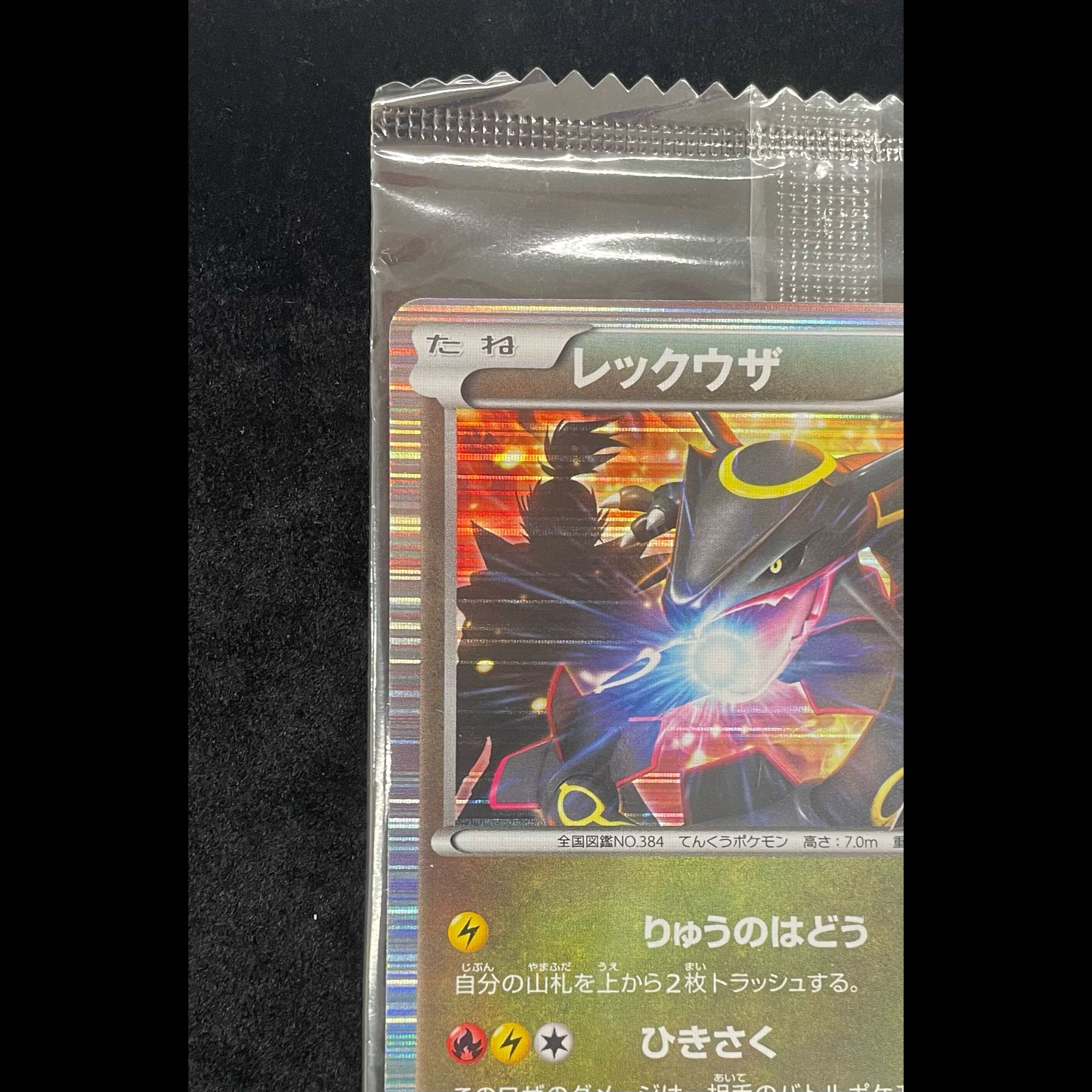 Rayquaza: Pokémon + Nobunaga's Ambition First-Print Bonus PROMO 144/BW-P 1枚