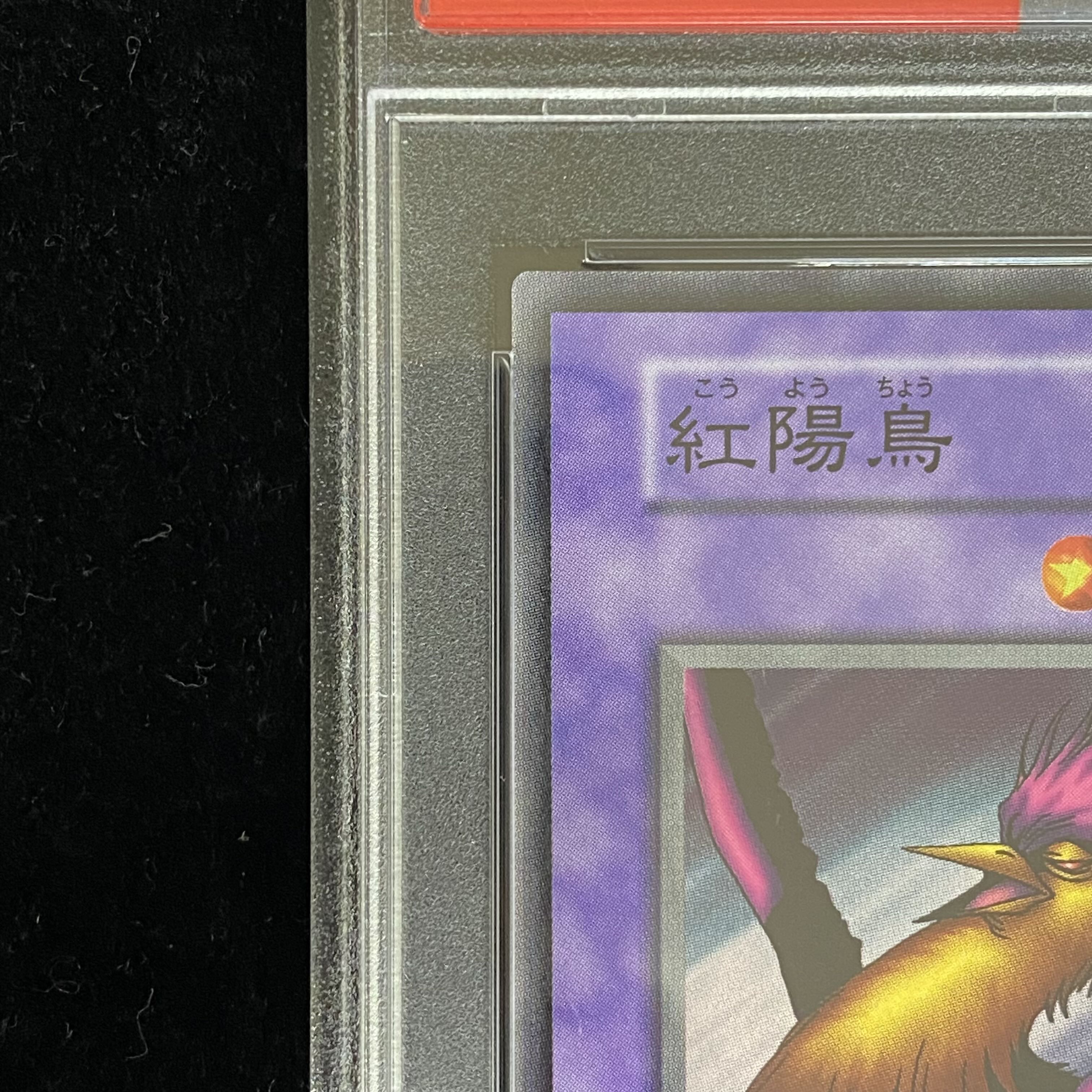 【PSA10】紅陽鳥〈初期〉［ノーマル］