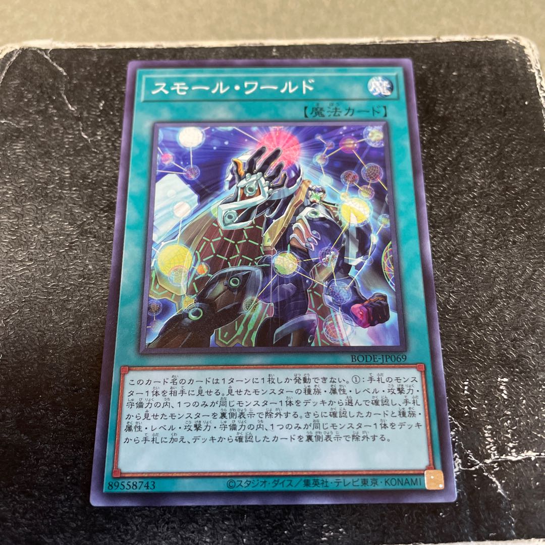 Small World Normal rare JP069 1枚