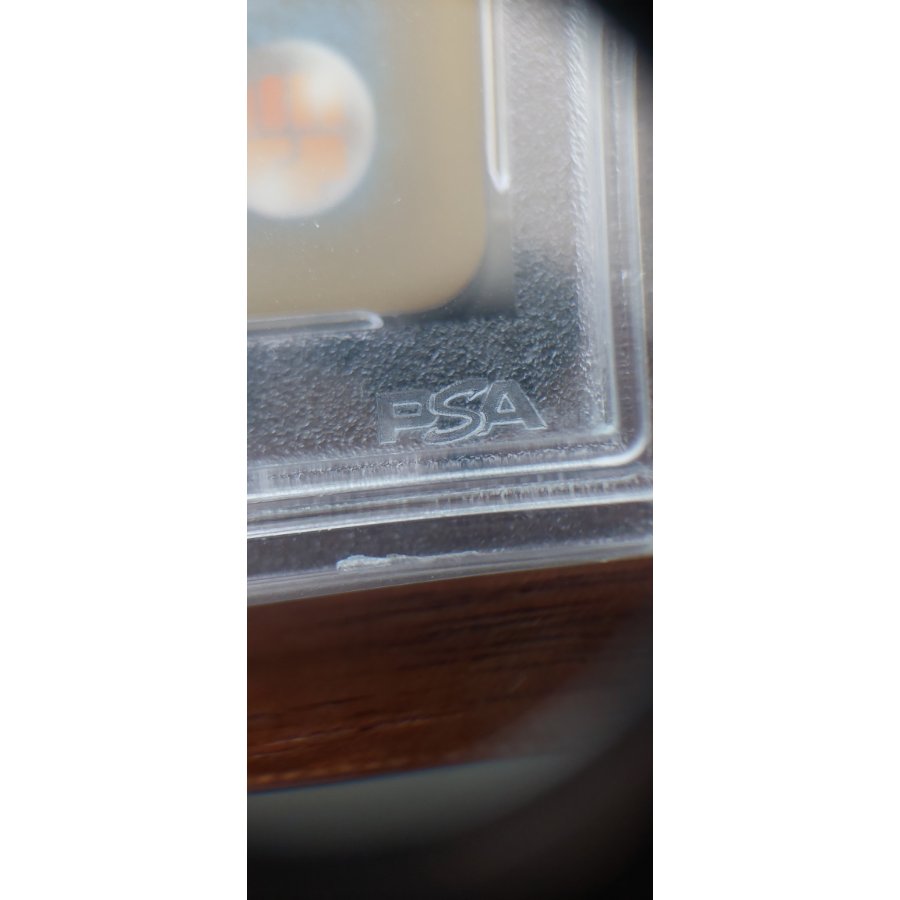 【PSA10】かんこうきゃく SR 192/173 1枚
