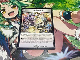 D-200 Withdrawal of wisdom C 58/65 1枚