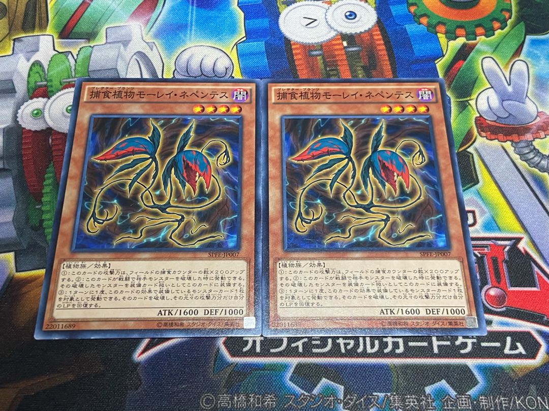 Y-4722 捕食植物モーレイ・ネペンテス ノーマル JP007 2枚