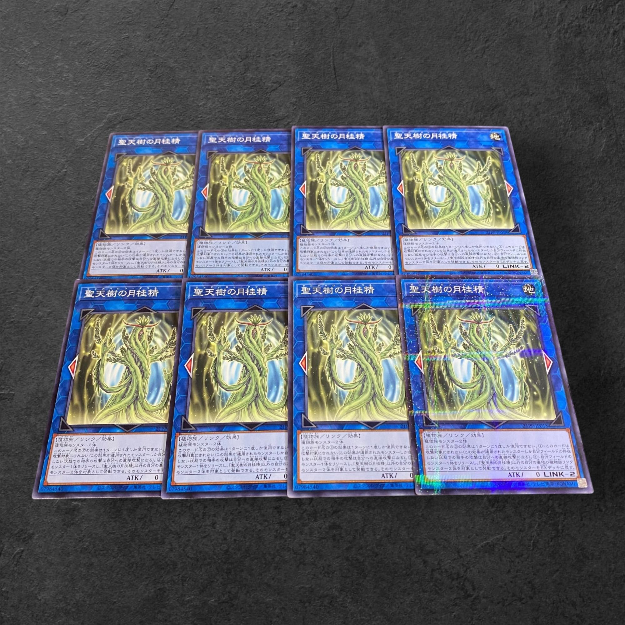 9637【遊戯王】聖天樹の月桂精　8枚セット