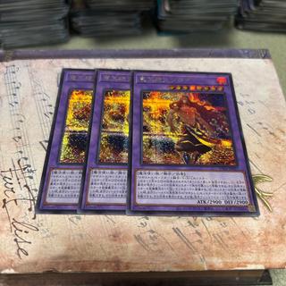 竜王絶火ゾロア