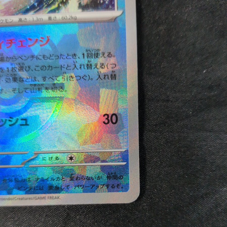 Dolphin Man (Master Ball Design/Mirrored Finish) 045/187 1枚