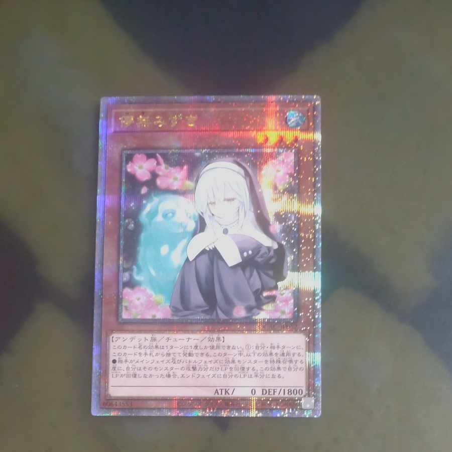 Ghost Sister & Spooky Dogwood QSE [Korindo