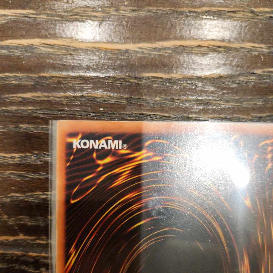 トゥーン•ブラック・マジシャン・ガール　シークレット　初期　スタジオダイスバ 1枚