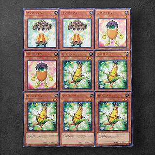 6241【遊戯王】マツボックル（2枚）コロボックリ（2枚）モロコシーナ（5枚）計9枚セット