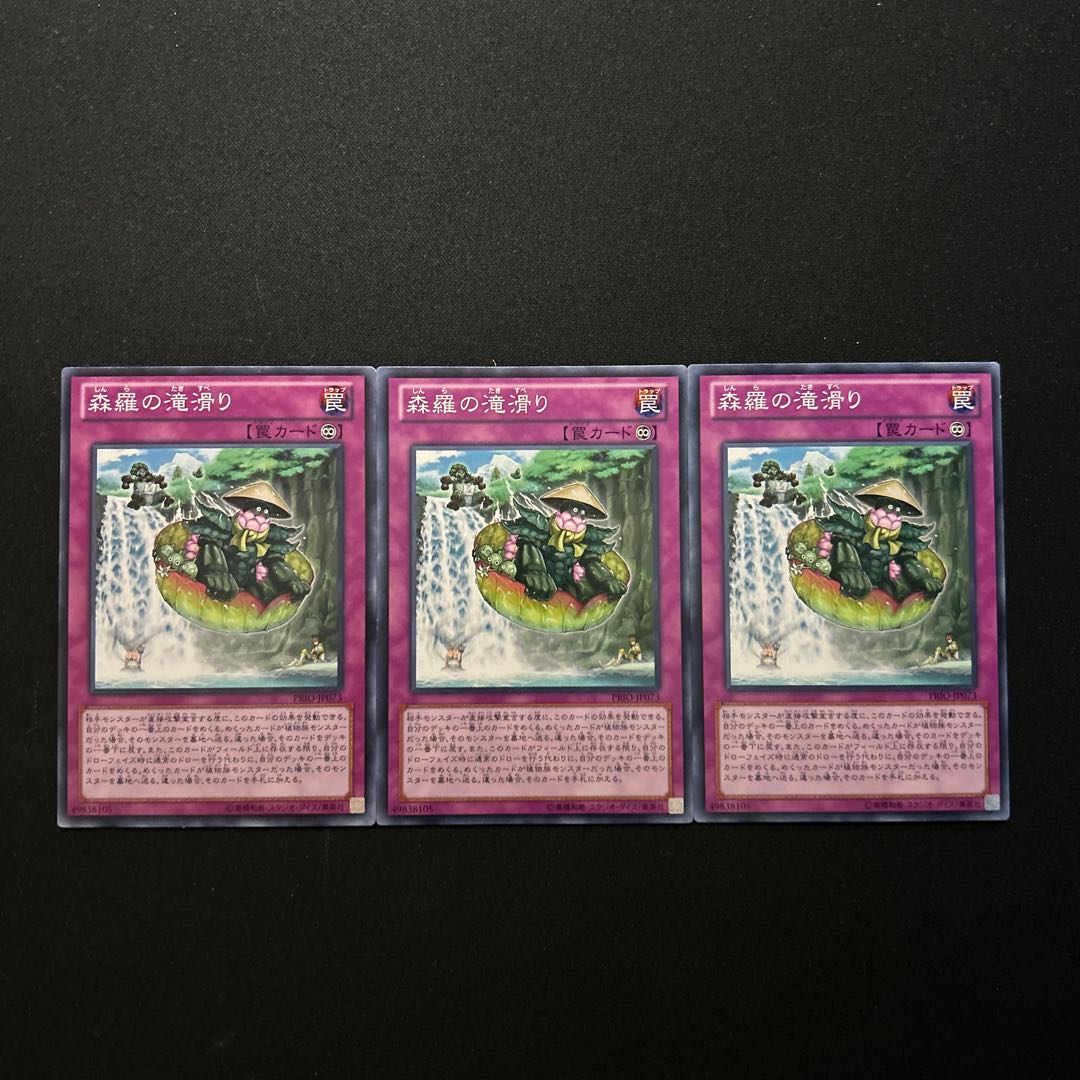 3087 Sylvan Waterslide#1727