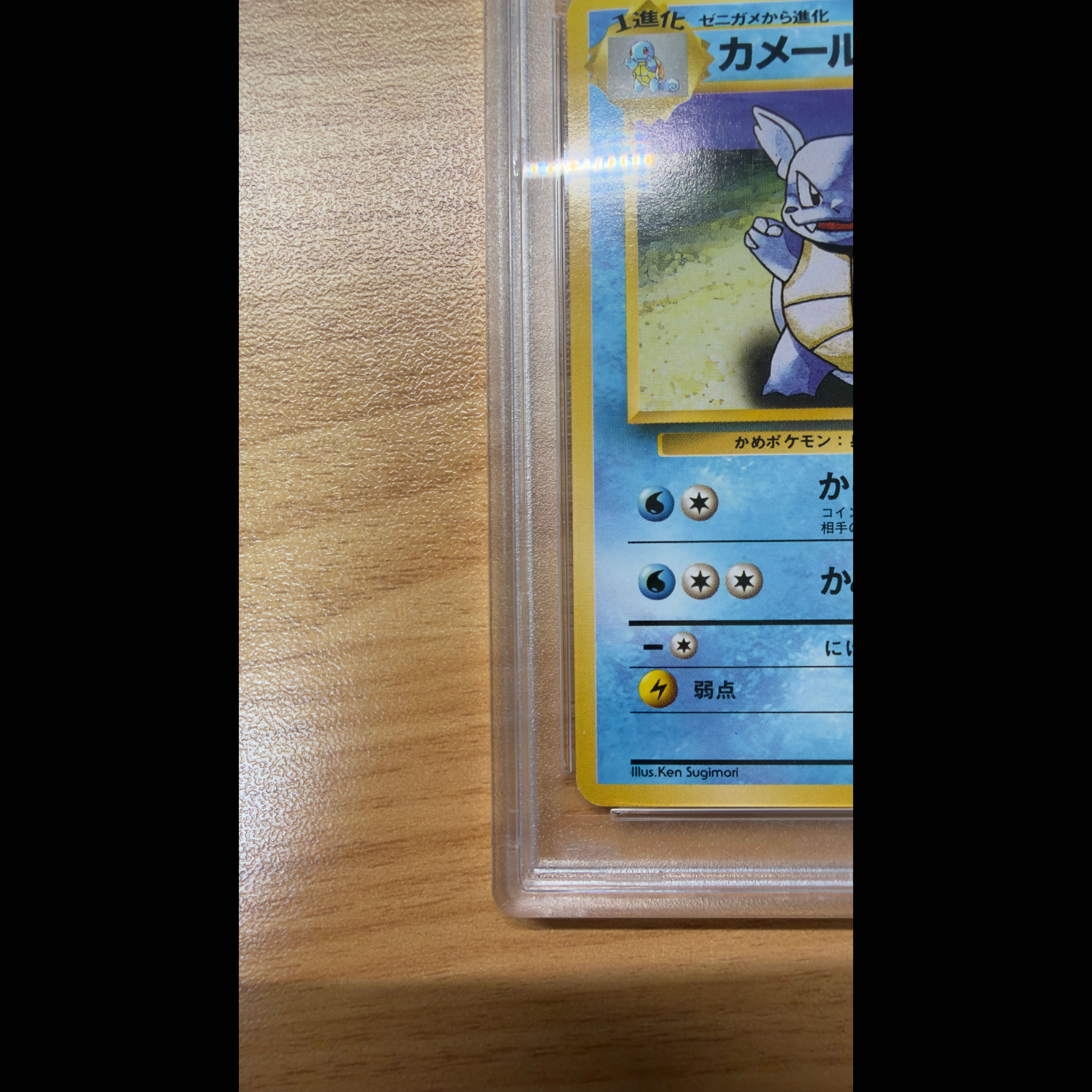 [PSA10] Vintage Back Wartortle No. 008 First Edition, No Mark, No Rarity, POP31 1枚