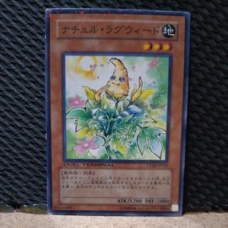 【ぽぽたん】遊戯王  4618  ナチュル・ラグウィード ノーマル  1枚