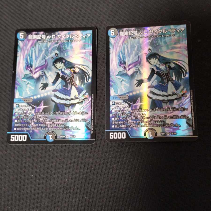 龍素記号wD サイクルペディア SR 18/100