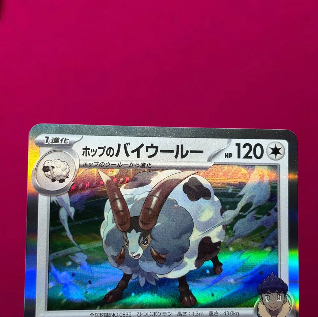 [Error Card] Hop's Dubwool SAR Error Mega Dream