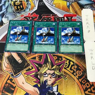 Salvage 307 1 Normal, set of 3 Tera.