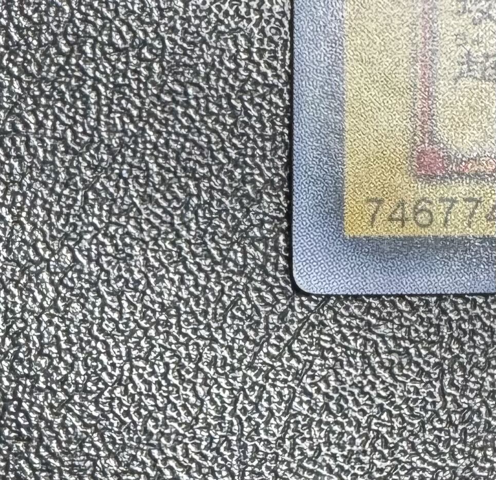 真紅眼の黒竜/レッドアイズブラックドラゴン/ ドラゴン族/遊戯王カード/初期絵 1枚