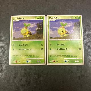 z1 Pokeka Turtwig 2枚