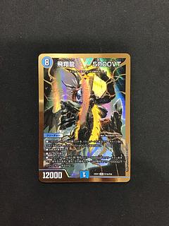 飛翔龍5000VT 秘1b/秘6