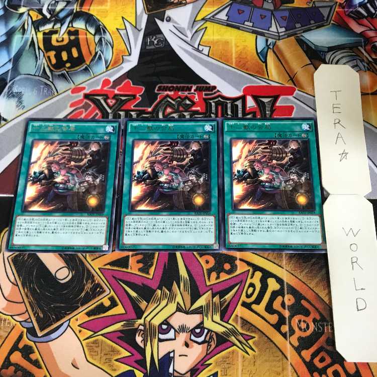 Zoodiac Barrage 1 rare, set of 3 Tera.