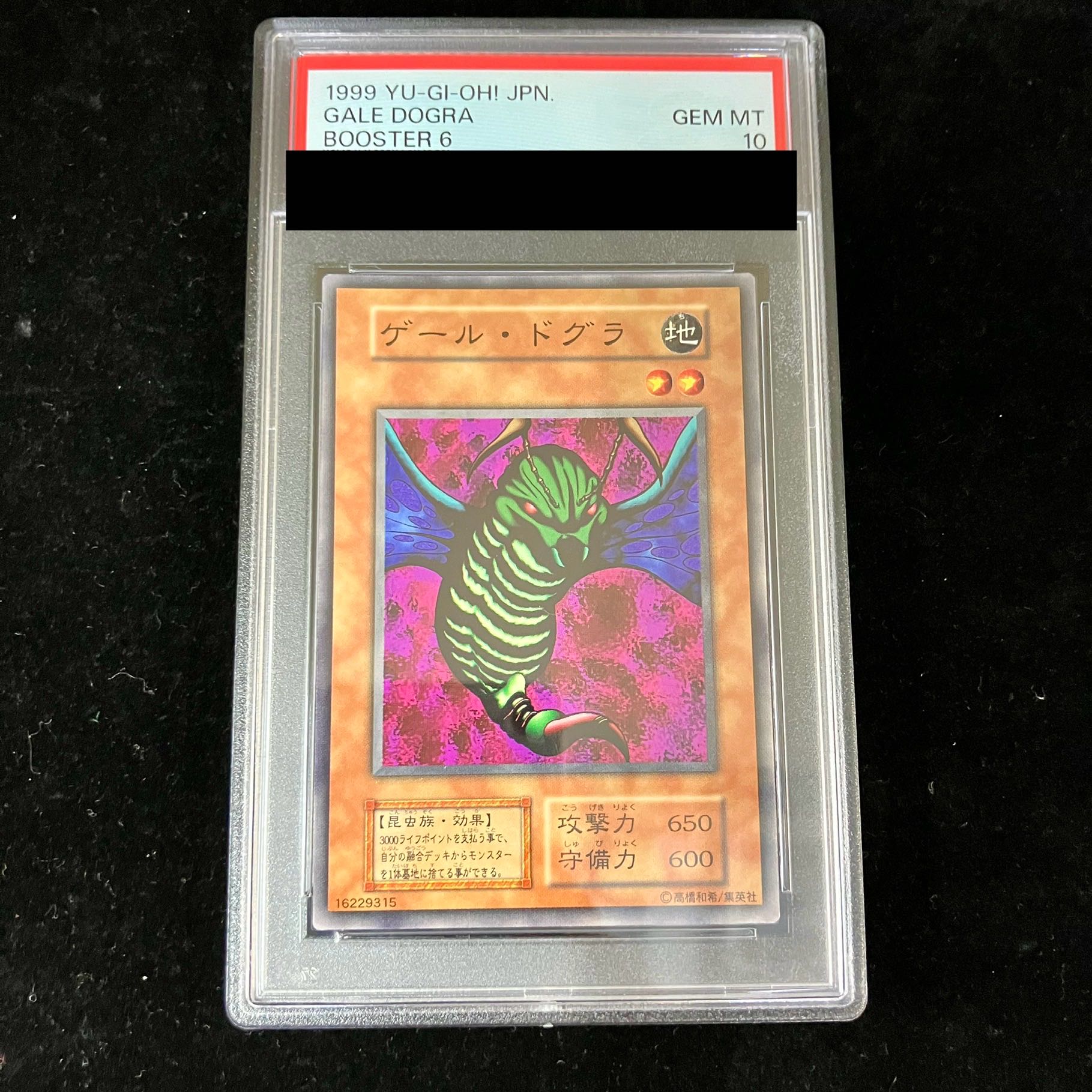 PSA10] Gerd Gura [early stage] [Normal