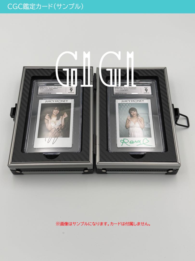 Special Price "G1G1" High Quality Case for PSA Appraisal Cards (Holds 2 cards) Silver/Black Scratches 1枚