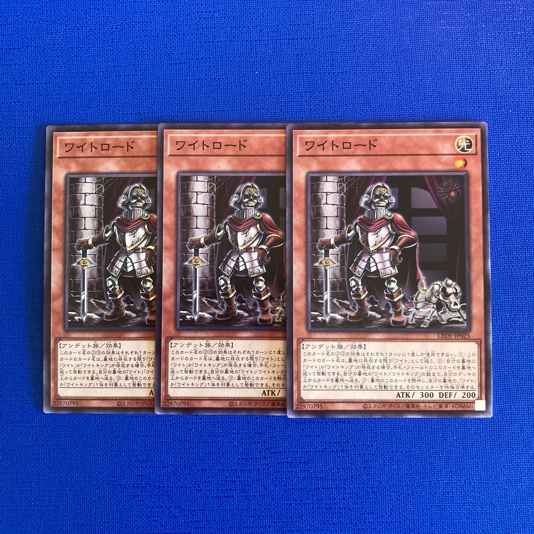 Wight road normal LEDE-JP025