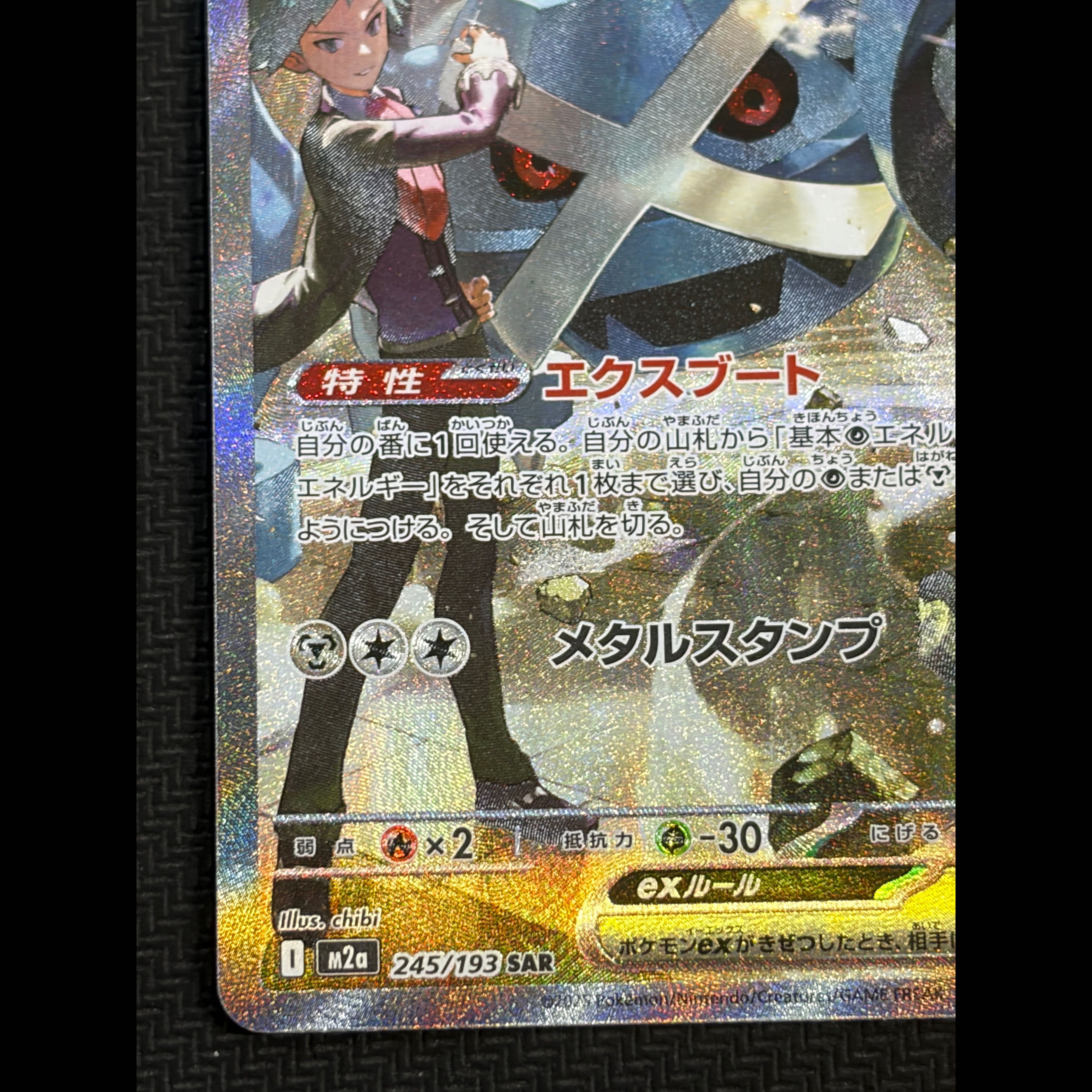 Condition B Steven's Metagross: Special Attack 245 / Special Defense 193 1枚