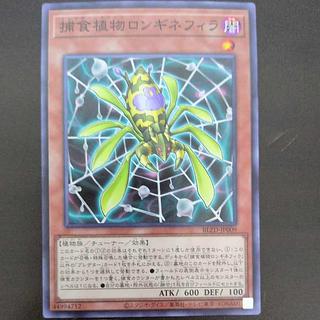 捕食植物ロンギネフィラ