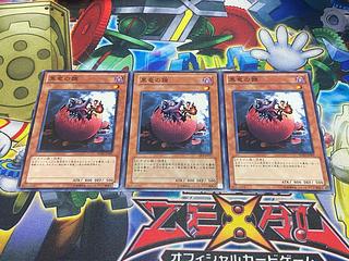 Y-3860 黒竜の雛 ノーマル 3枚