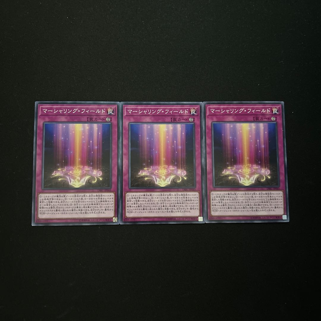 3691 Marshalling Field Normal JP045