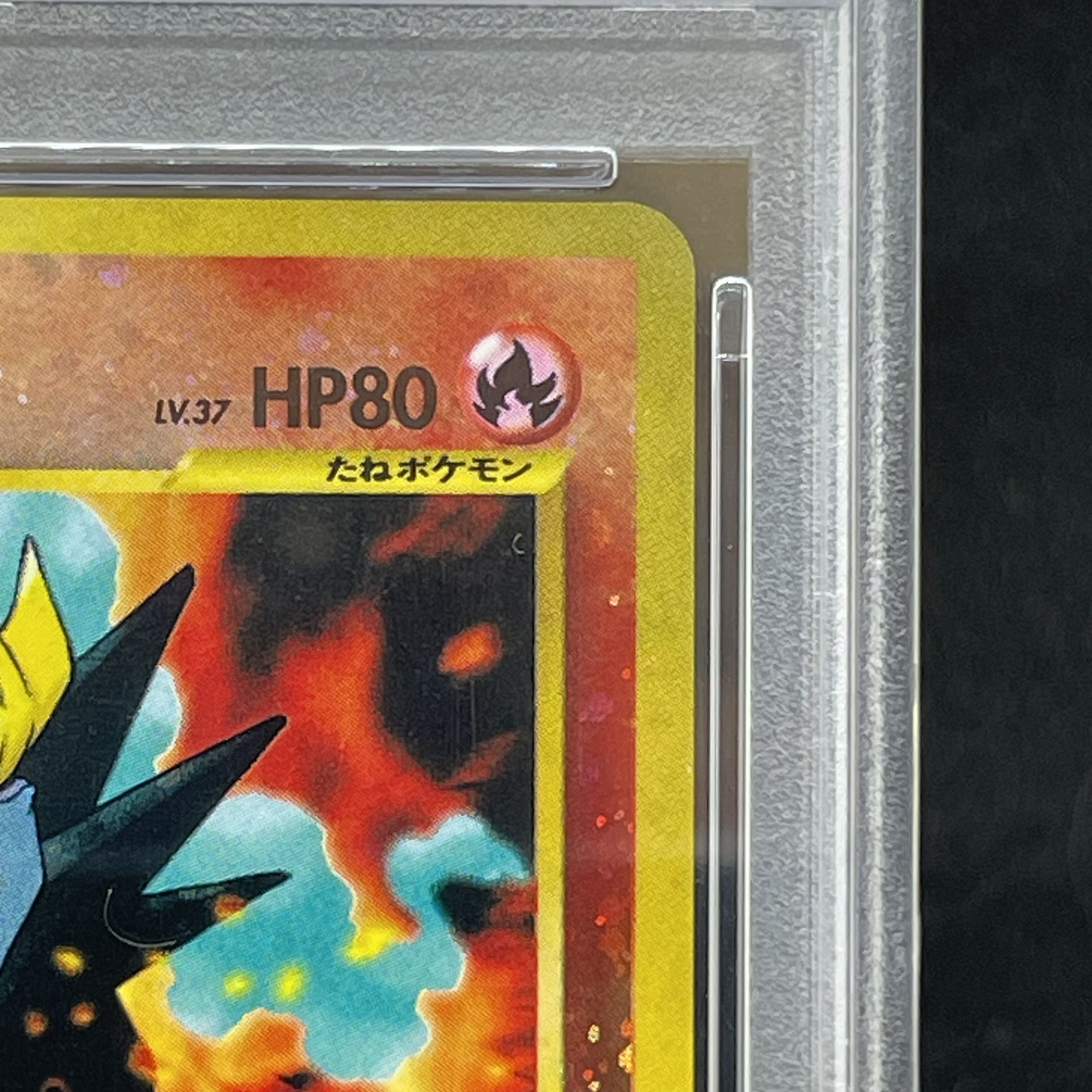 【PSA10】エンテイ プレミアムファイル 旧裏  1枚