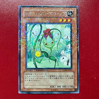 遊戯王 - 山屋　即日発送　ナチュルデッキ　構築済みデッキ　まとめ売り ナチュル・マンティス ナチュル・アントジョー ナチュル・ローズウィップ ナチュルの神星樹 ナチュル・エクストリオ 山屋 即日発送 リチュアデッキ 構築済みデッキ 遊戯王OCG