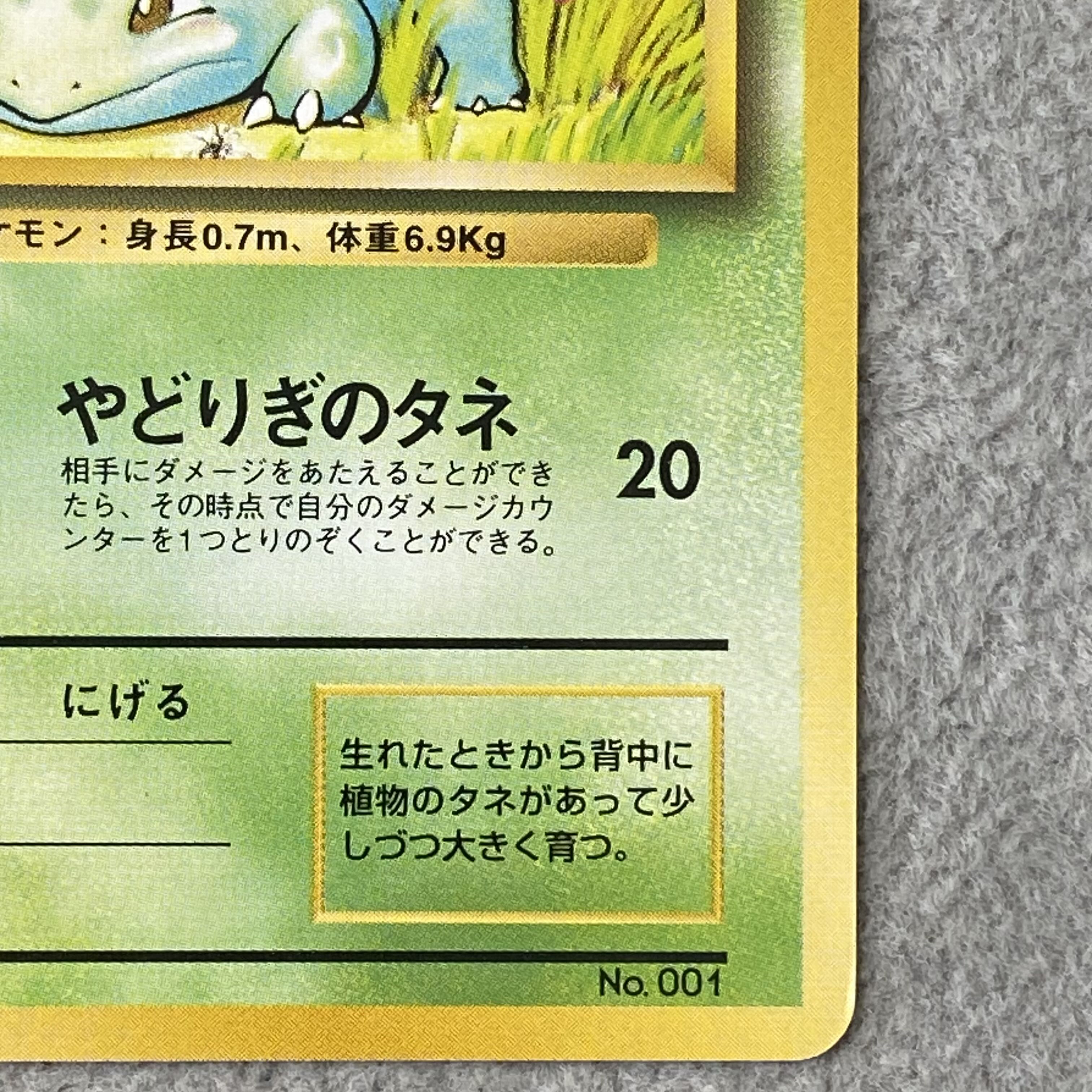 Bulbasaur First Edition, No Markings, Old Back Cover  1枚