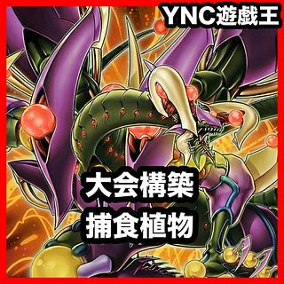 本格構築 捕食植物 デッキ 遊戯王 四天の龍スターヴヴェノムフュージョンドラゴン 超融合 オフリススコーピオ 血樹竜姫ドラセレア 1枚