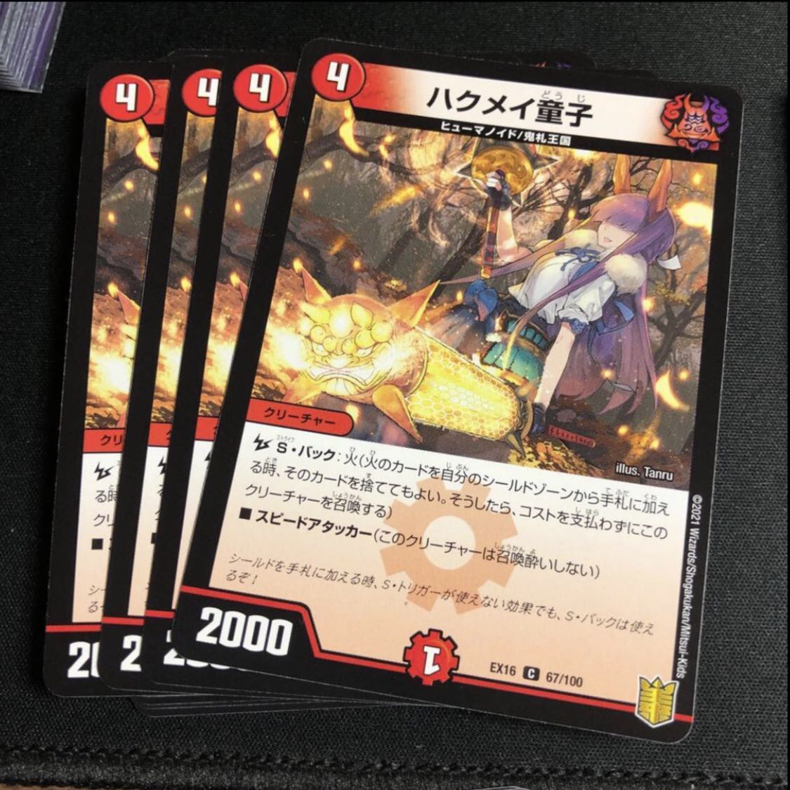 Haku Rosa Doji C 93/110 1枚