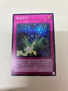 Shugai Shugyo Super Rare RV01-JP053 1枚
