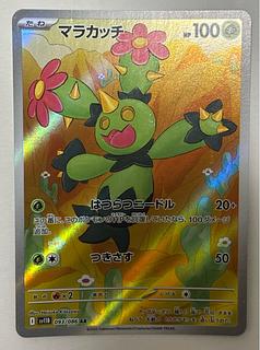 Maractus AR 1枚