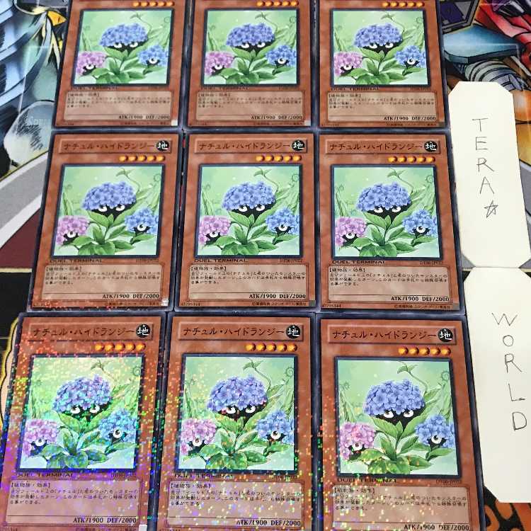 1 Duel Terminal, Effect, Set of 9, Tera. 9枚