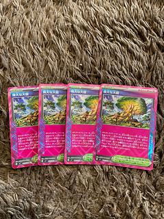 The Great Big Tree 4枚