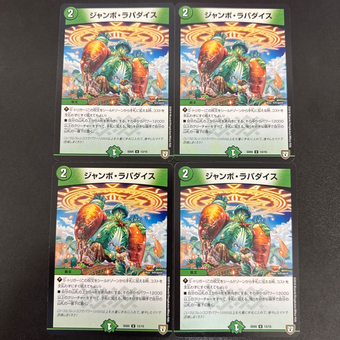 ジャンボ・ラパダイス U 13/15